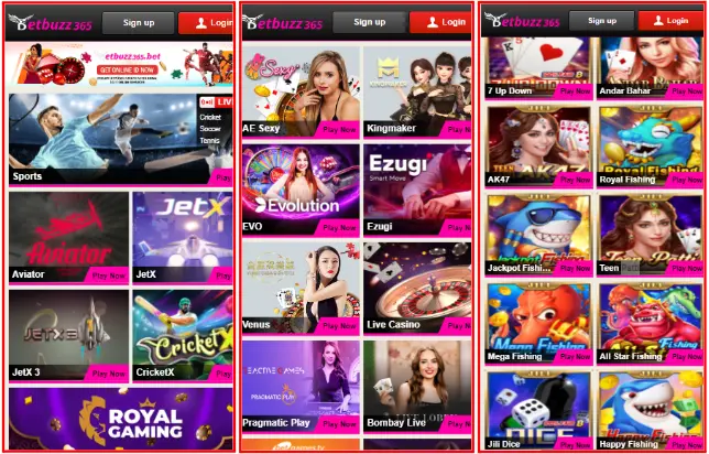 What Makes the Platform Stand Out